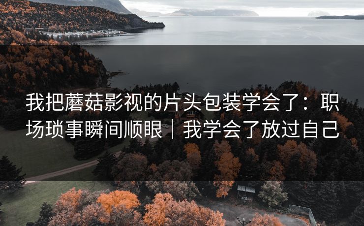 我把蘑菇影视的片头包装学会了：职场琐事瞬间顺眼｜我学会了放过自己