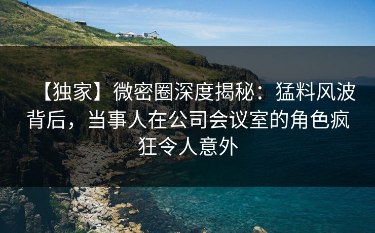 【独家】微密圈深度揭秘：猛料风波背后，当事人在公司会议室的角色疯狂令人意外