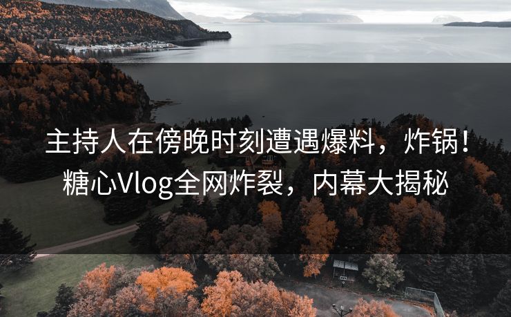 主持人在傍晚时刻遭遇爆料，炸锅！糖心Vlog全网炸裂，内幕大揭秘