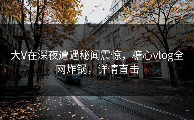 大V在深夜遭遇秘闻震惊，糖心vlog全网炸锅，详情直击