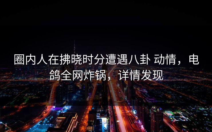 圈内人在拂晓时分遭遇八卦 动情，电鸽全网炸锅，详情发现